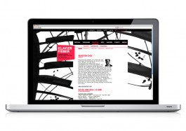 marcela grupp | design & creative direction