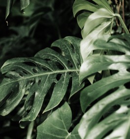 marcela grupp | design & creative direction