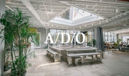 marcela grupp | design & creative direction