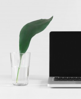 marcela grupp | design & creative direction