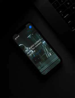 marcela grupp | design & creative direction