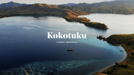 marcela grupp | design & creative direction