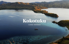 marcela grupp | design & creative direction