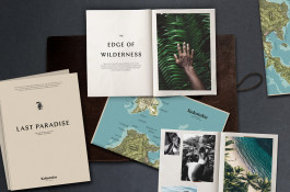 marcela grupp | design & creative direction