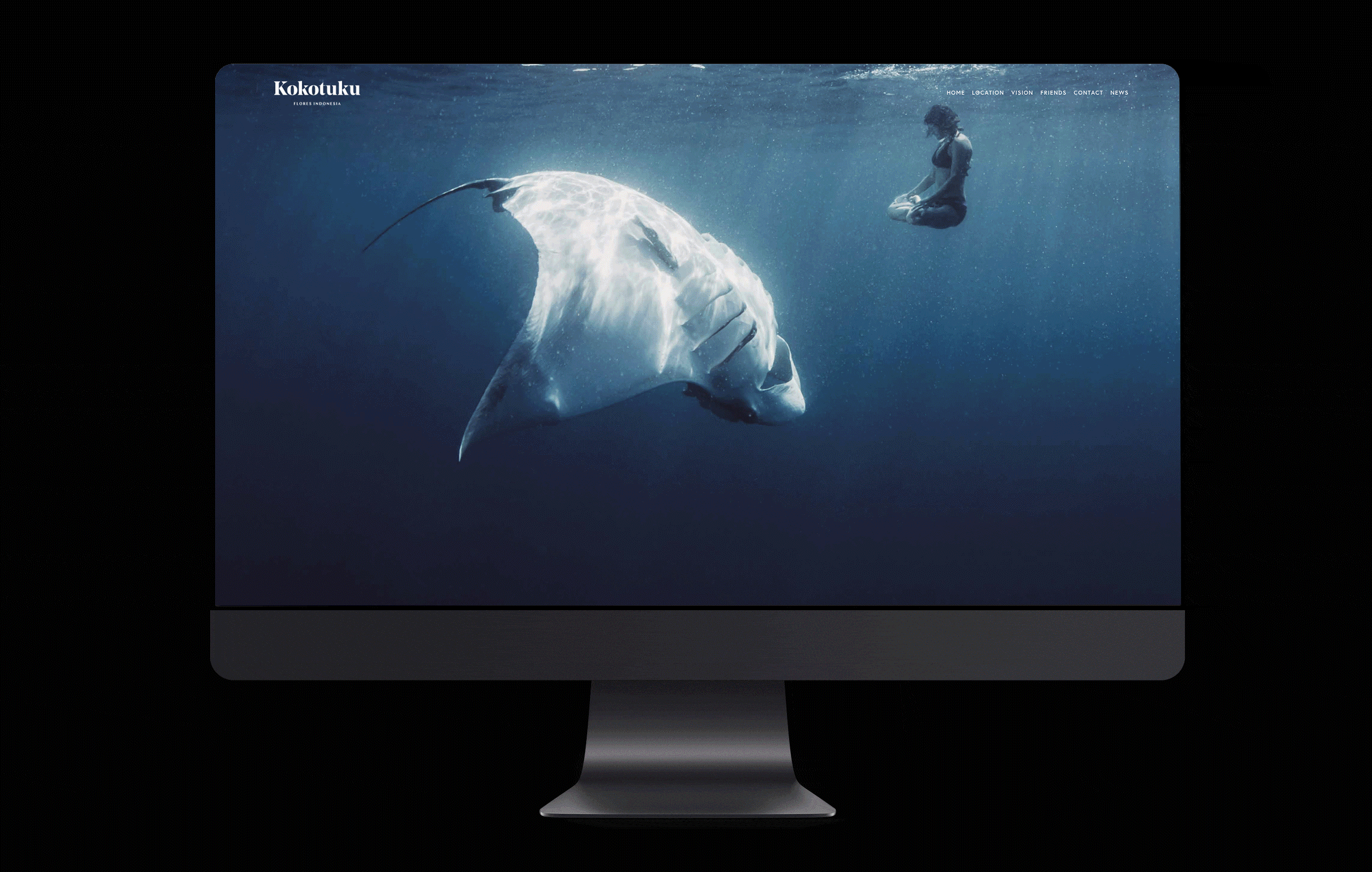 marcela grupp | design & creative direction