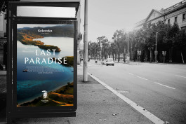 marcela grupp | design & creative direction