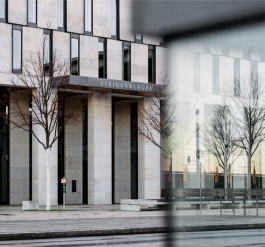 marcela grupp | design & creative direction