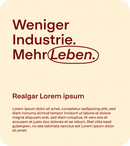 marcela grupp | design & creative direction